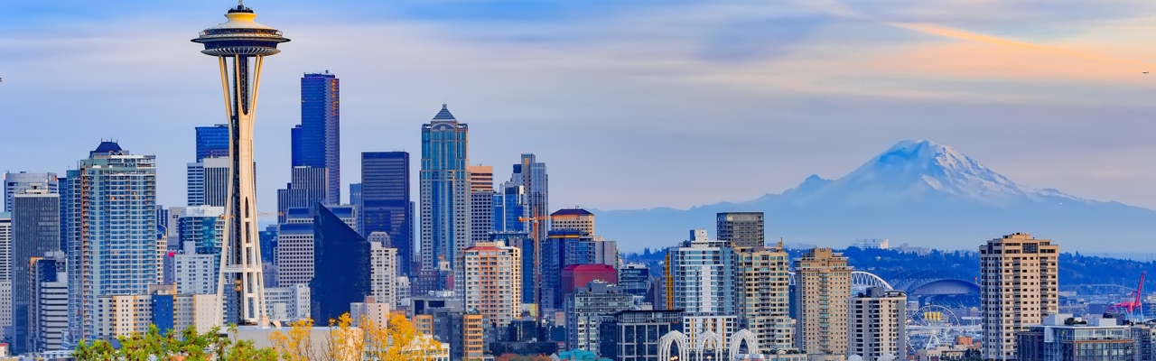 grand seattle city tour with airport drop off royal caribbean