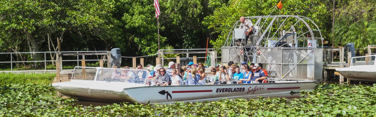 Everglade Tour in Orlando | TheList.Travel