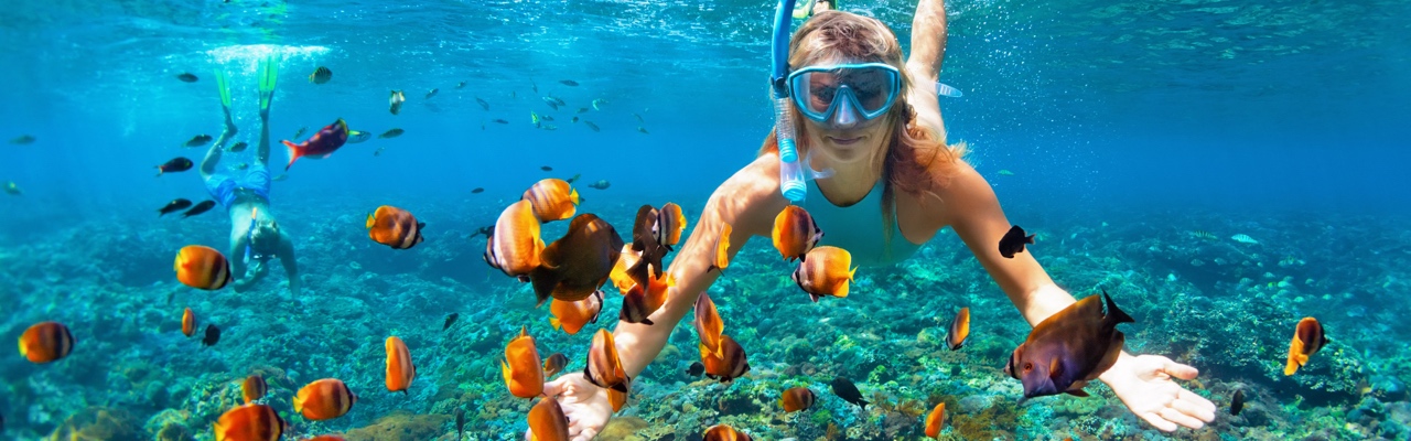 Sortie plongée avec tuba sur l'île de Giftun au départ de Hurghada